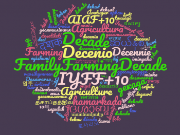 The Decade of Family Farming 2019-2028 officialy adopted by the United Nations General Assembly