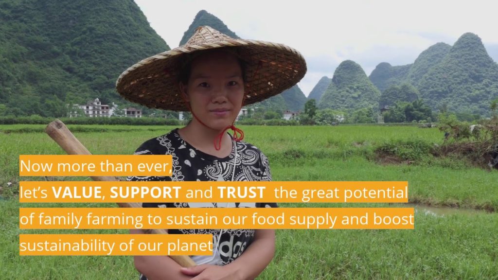 ¡We are grateful to family farmers of the world!﻿
