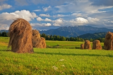AIAF+10: l’engagement pour l’agriculture familiale continue