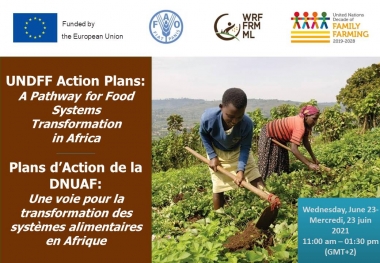 Échange en ligne Plans d’Action de la Décennie des Nations Unies pour l’Agriculture Familiale : une voie pour la transformation des systèmes alimentaires en Afrique