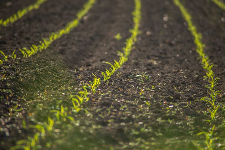 Fortalecer la agricultura familiar para hacer frente a la alarma del cambio climático: datos y perspectivas