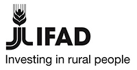 FIDA