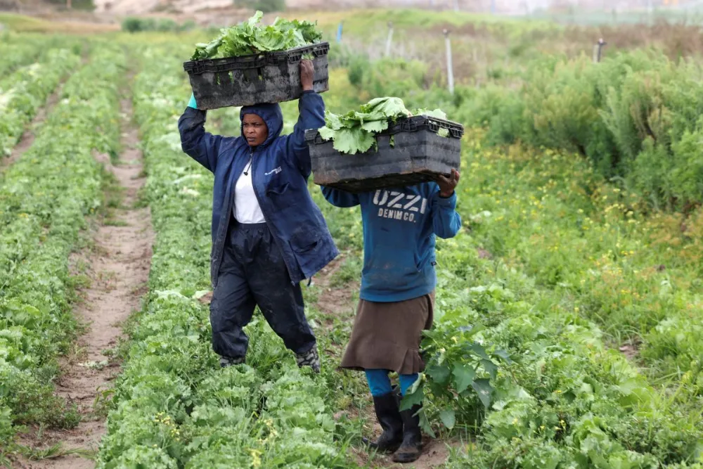 FAMILY FARMS ARE A BIG PART OF THE ANSWER TO OUR FOOD PROBLEM