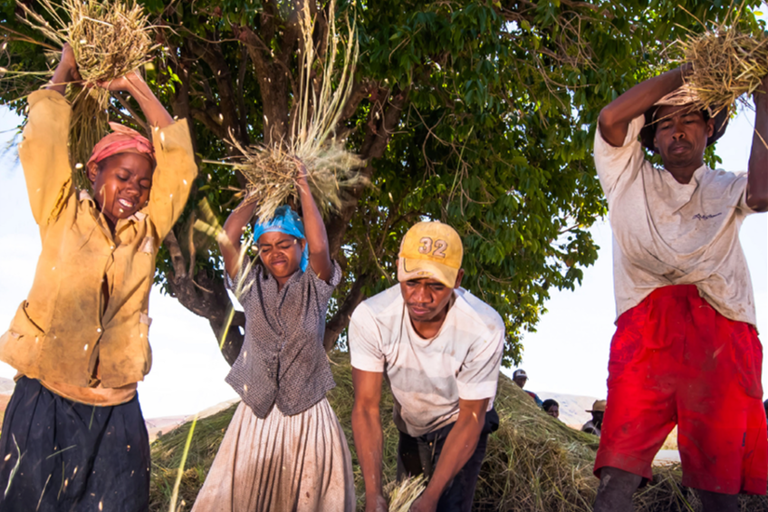 New Report: Only 0.3% of Climate Change Funding Reaches Family Farmers