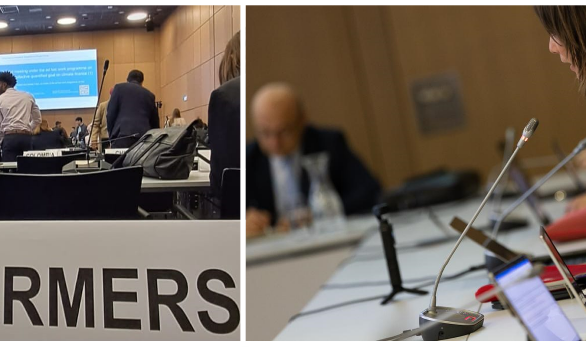 Munduko Landagunea Bonn-eko Klima Aldaketari buruzko Konferentzian