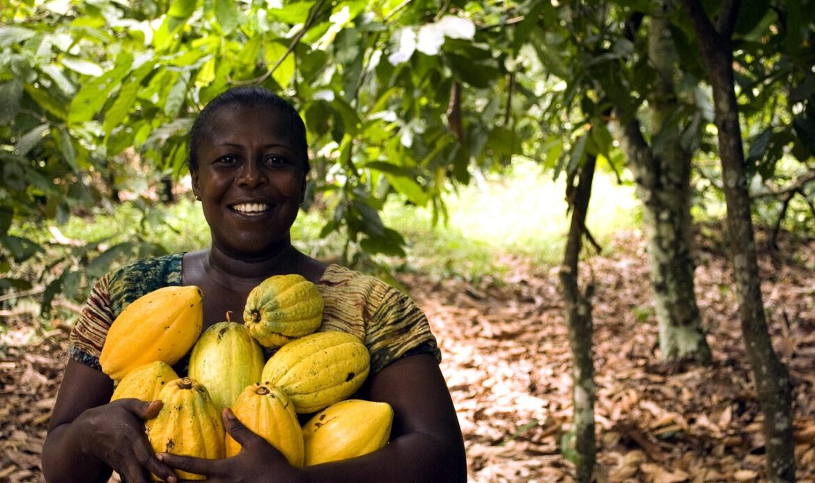 FEMMES RURALES EN ACTION, CONSTRUIRE UN AVENIR DURABLE